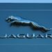 Jaguar emblem